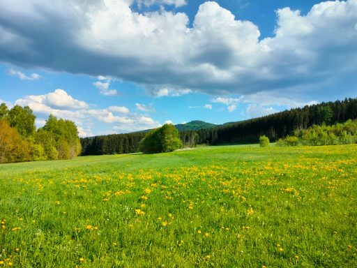Ausblick beim Wanderweg